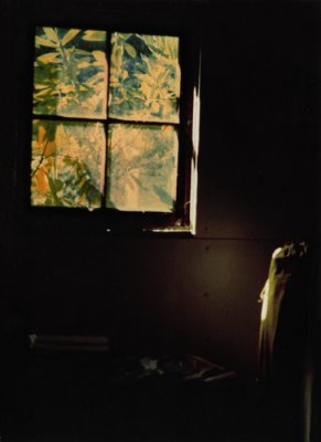 window light by Kimberly Borchardt