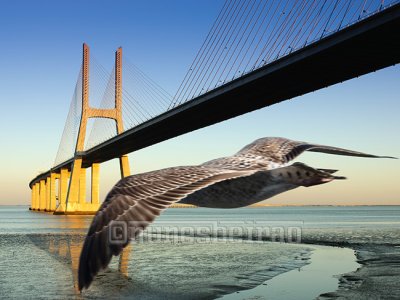 The Vasco da Gama bridge_LAN5069a.jpg