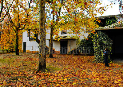 Quinta da Pacheca