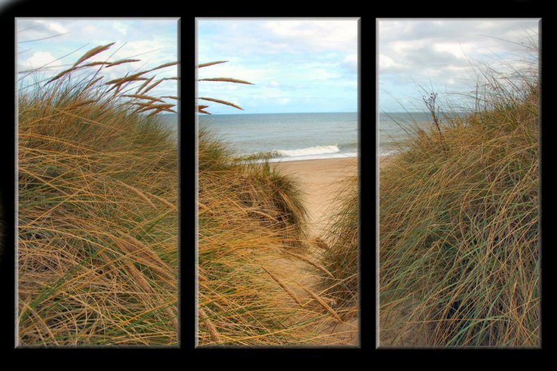 Sand dunes at Hemsby Norfolk