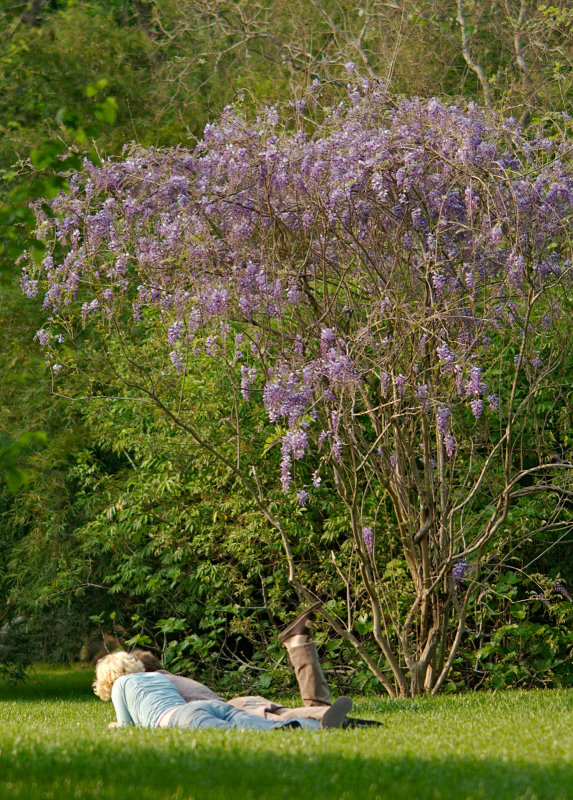 couple in de Menil park