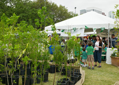 tree planting project 01