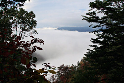 Cumberland Gap Fog