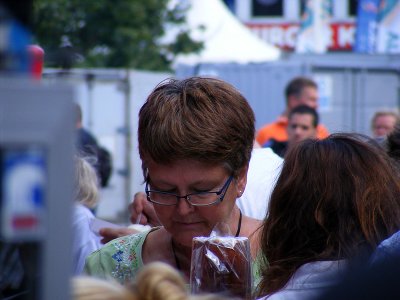 Festival in the town (2009)