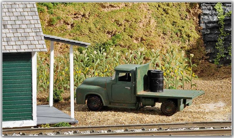 Uncle Johns corn field