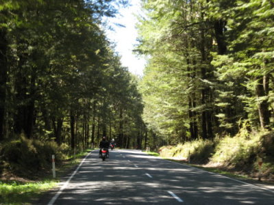 101031 Round the Big Block 59 Pic Sara Richards.jpg