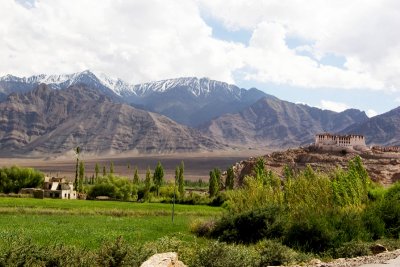 Leh, View from Shey Palace