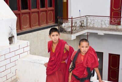 Young Lamas at Thiksey Gompa - Leh