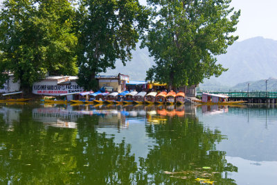 Dal Lake- Srinagar