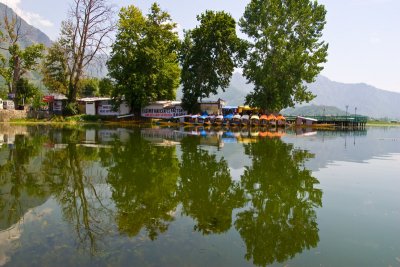 Dal Lake- Srinagar