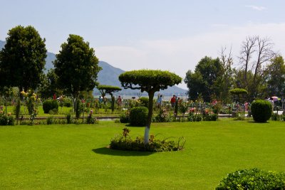 Mugal Garden - Srinagar