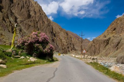 Ladakh-Dist Entrance