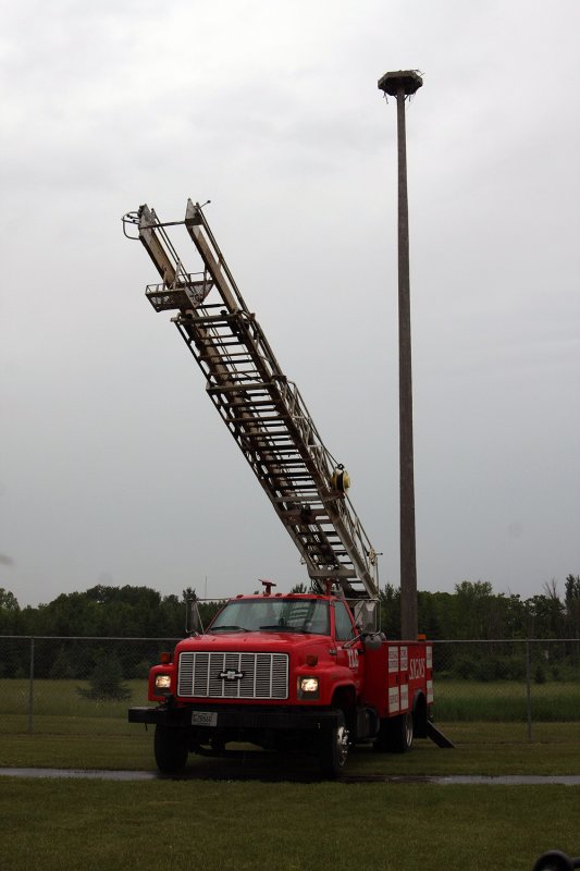 Tims Lighting Company, Inc