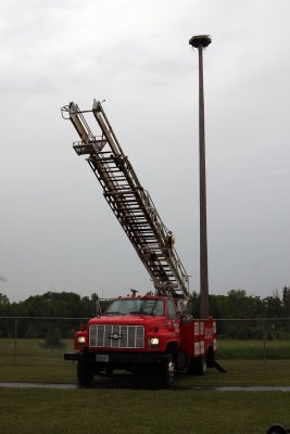 Tim's Lighting Company, Inc