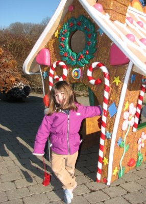 Gingerbread Adventures