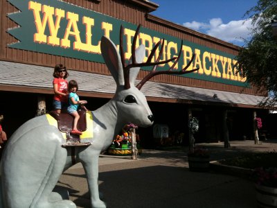 On the Jackalope - Wall Drug
