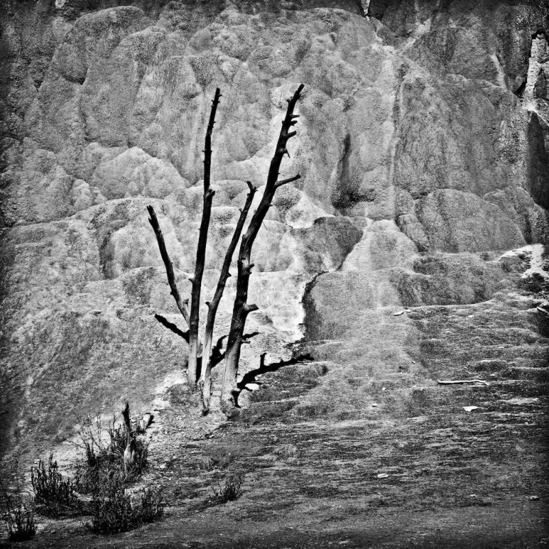Mammoth Hot Springs