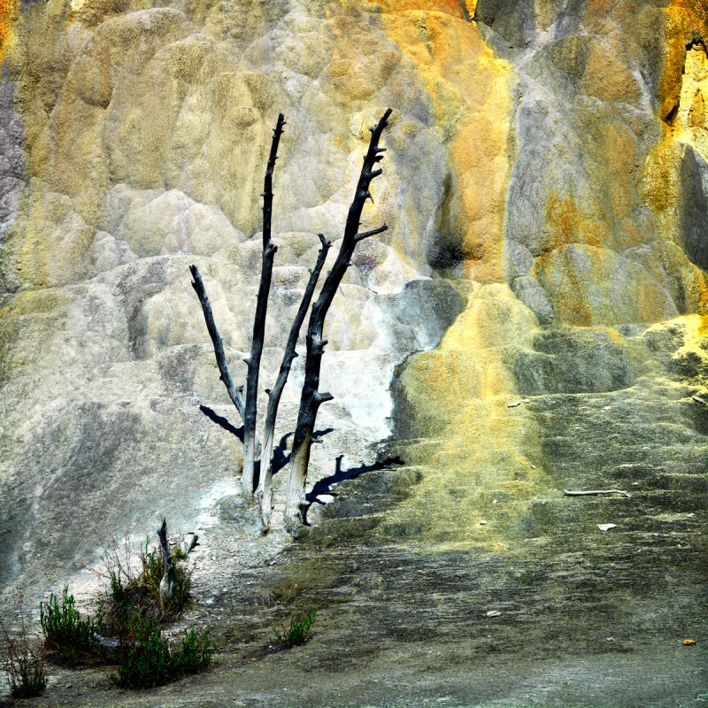 Mammoth Hot Springs