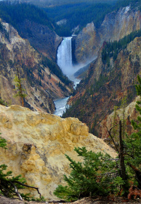 Grand Canyon of the Yellowstone - Lower Falls