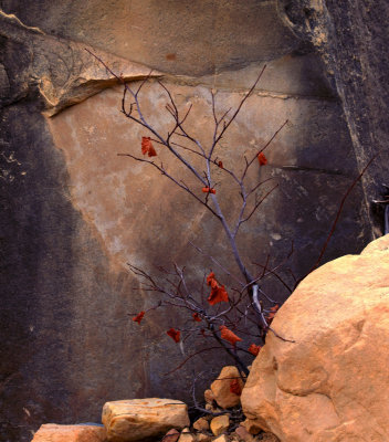 Red Rock National Monument