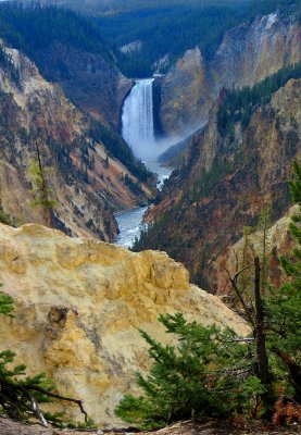 Lower Falls of The Yellowstone - Artist's Point