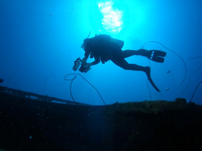 Diver At Hilma Hooker