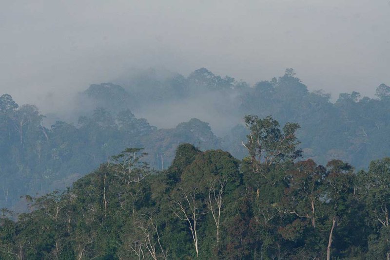 Khao Yai