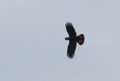 g1/90/590590/3/112550530.zlo0uoar.jpg