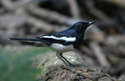 g1/90/590590/3/115844100.xcgZbmYA.jpg