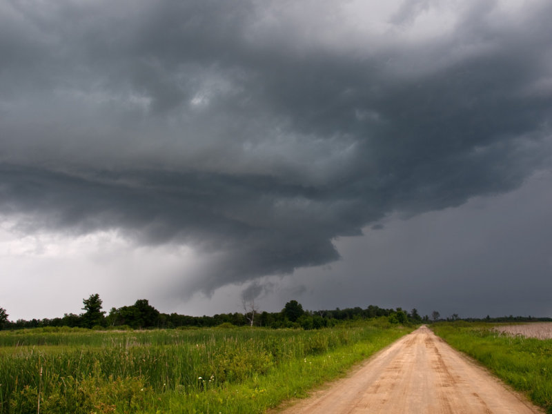 Storm Front Carlos Avery.jpg