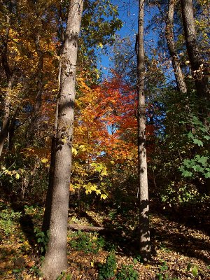 Autumn 2008_10.jpg