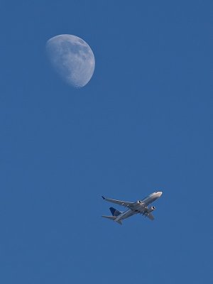 Fly Me to the Moon.jpg
