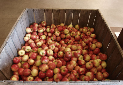 Apple Orchard Barn 7.jpg