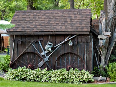 Old Shed as Lawn Scape.jpg