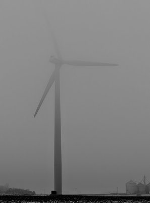 Fog in Dodge County_F.jpg