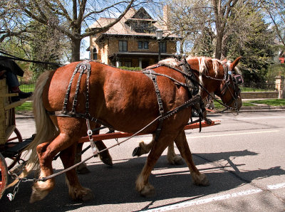 A-2 The Wagon Train_22.jpg