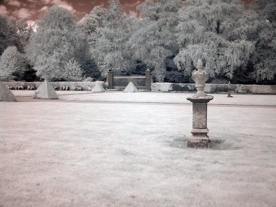Infrared - gardens