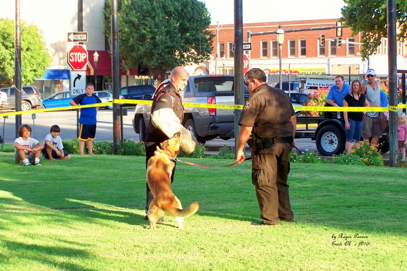 NNO 2010 87.JPG