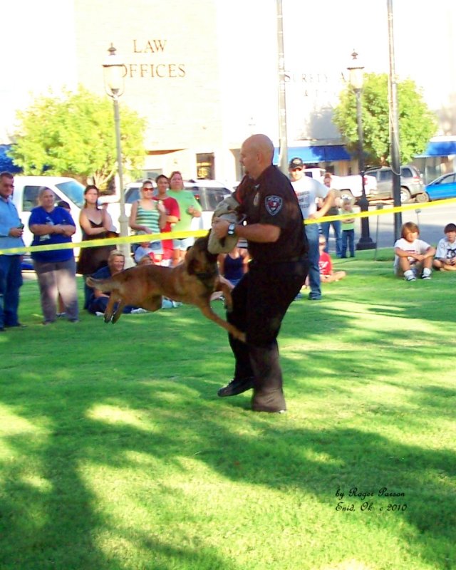 NNO 2010 79.JPG