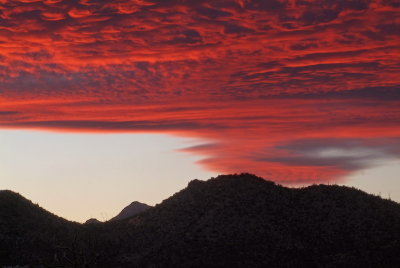 Southern Arizona Sunset