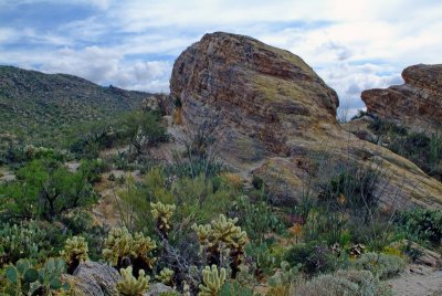 Rincon Mountain Foothills