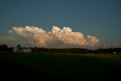 DSC_0044.jpg