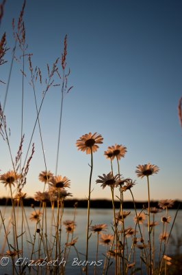 DSC_1882.jpg