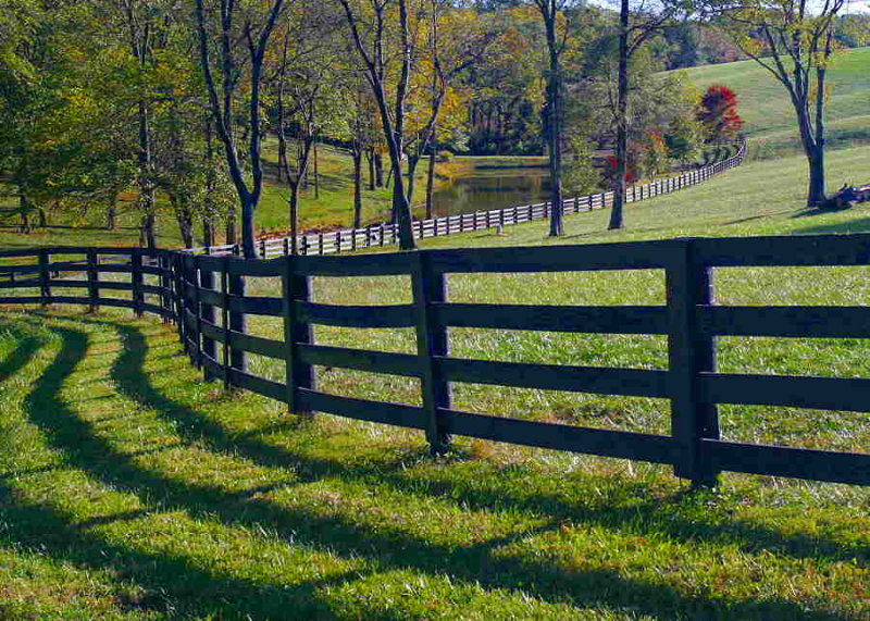 Fall 2008