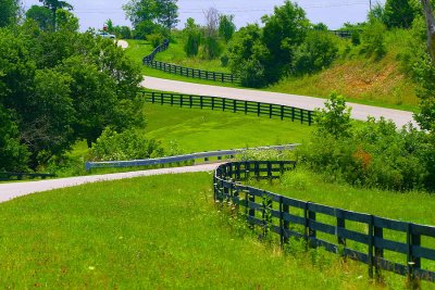 A Kentucky Back Road