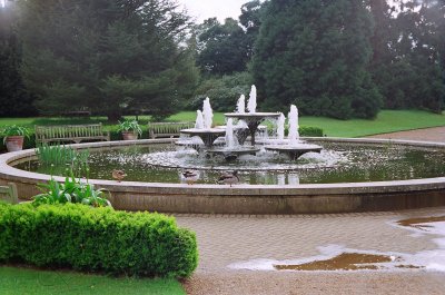 Botanic Garden 10
