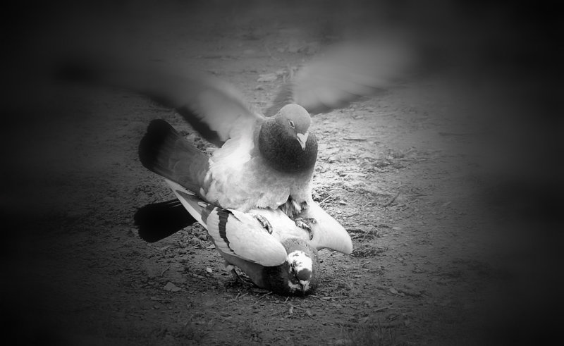 Above...