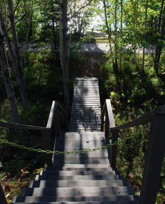 g1/90/685690/3/103433258.2avyDitN.jpg