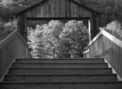Nature...through the main door