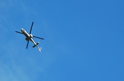 g1/90/685690/3/103456494.J7xuzjxd.jpg